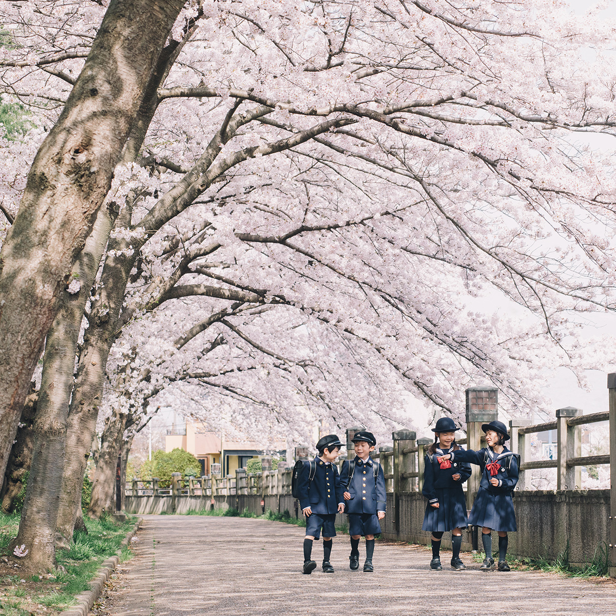 昭和学院小学校