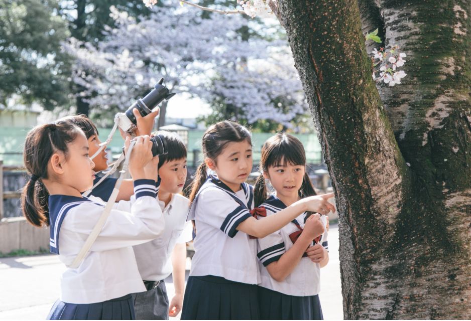 探究的な学びのカリキュラムイメージ